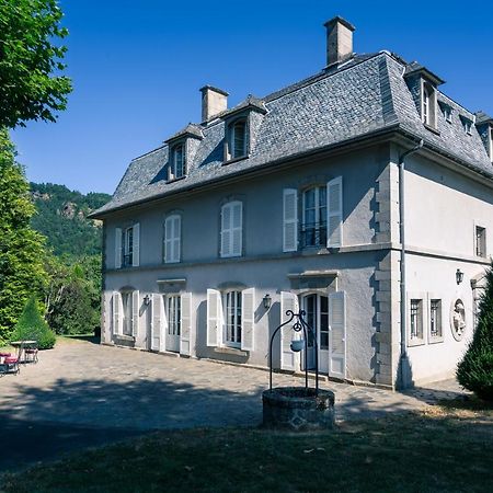 Vic-sur-Cère Le Kino Panorama Bed & Breakfast エクステリア 写真