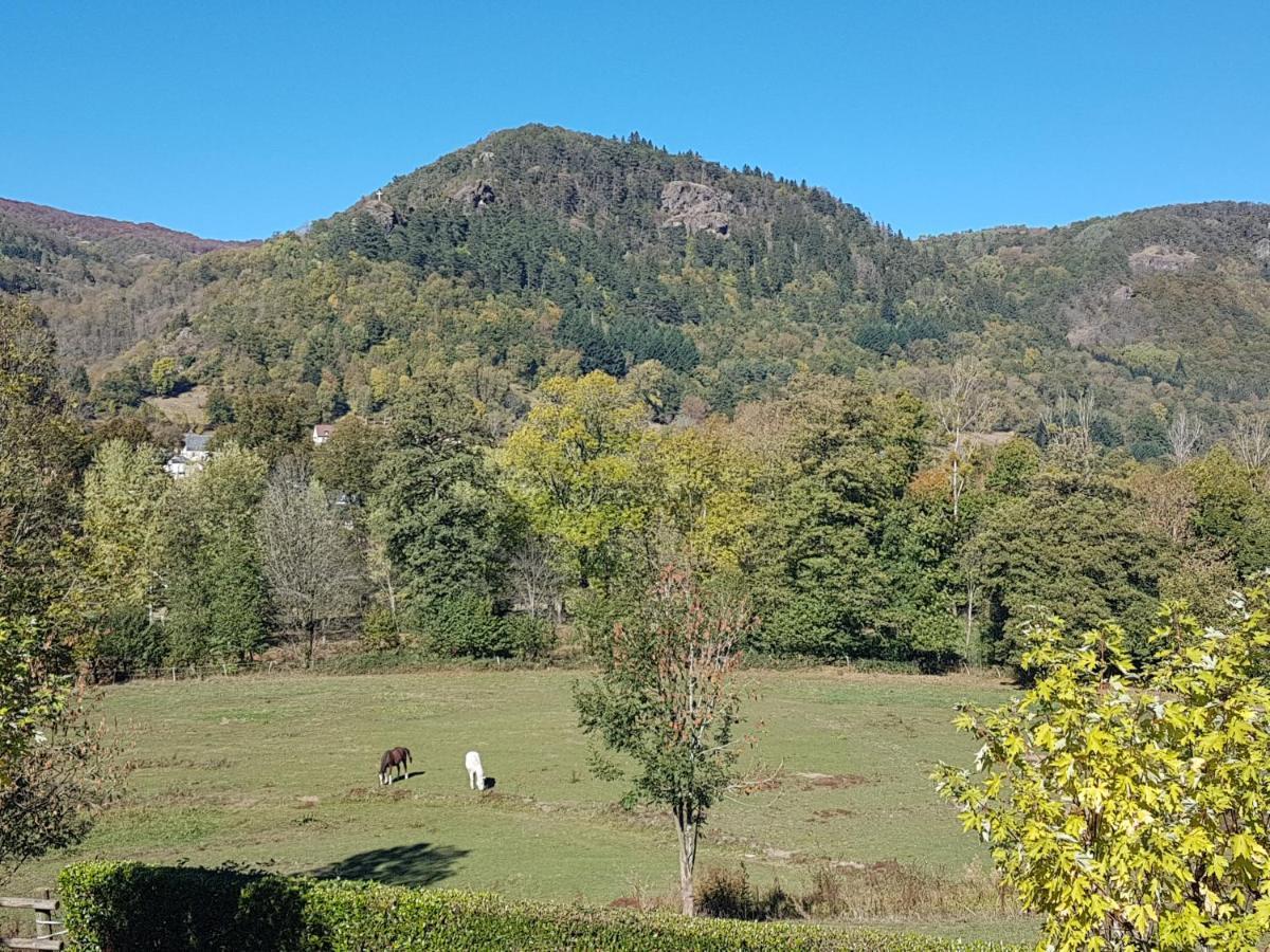 Vic-sur-Cère Le Kino Panorama Bed & Breakfast エクステリア 写真