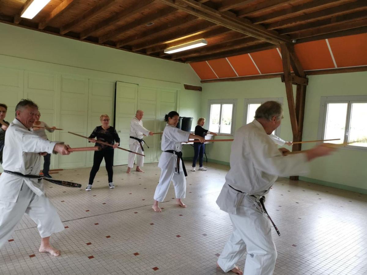 Vic-sur-Cère Le Kino Panorama Bed & Breakfast エクステリア 写真