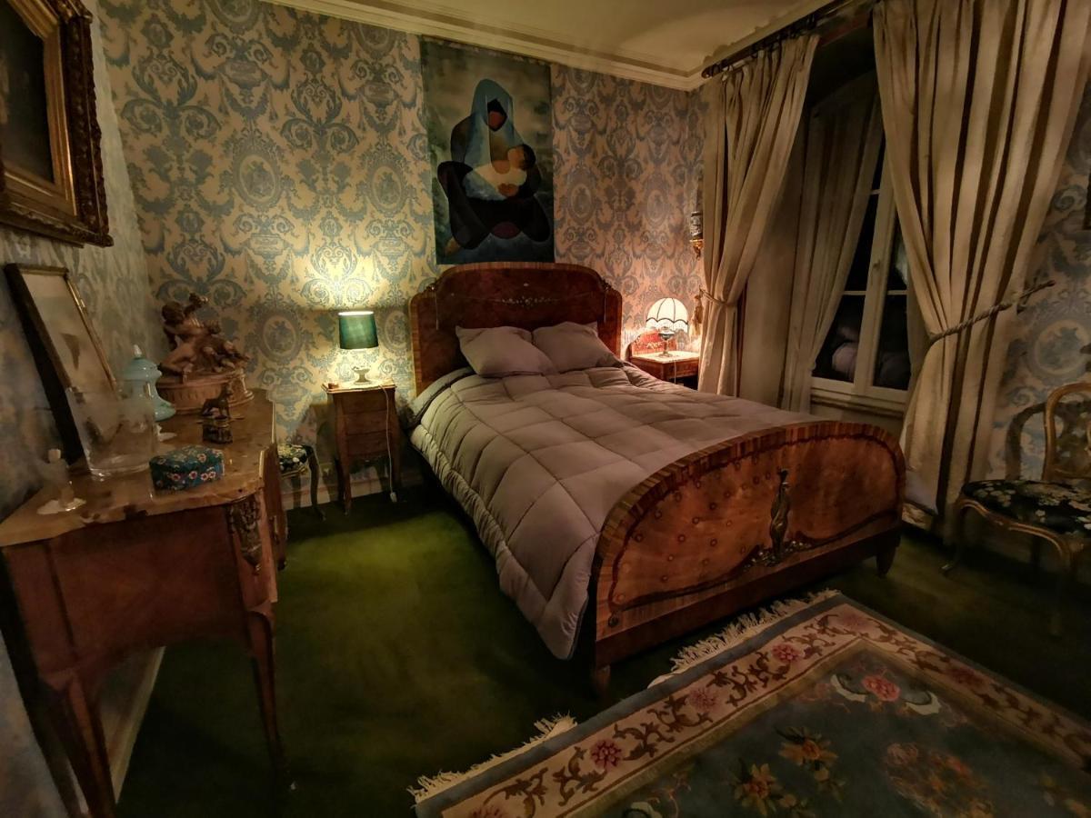 Vic-sur-Cère Le Kino Panorama Bed & Breakfast エクステリア 写真