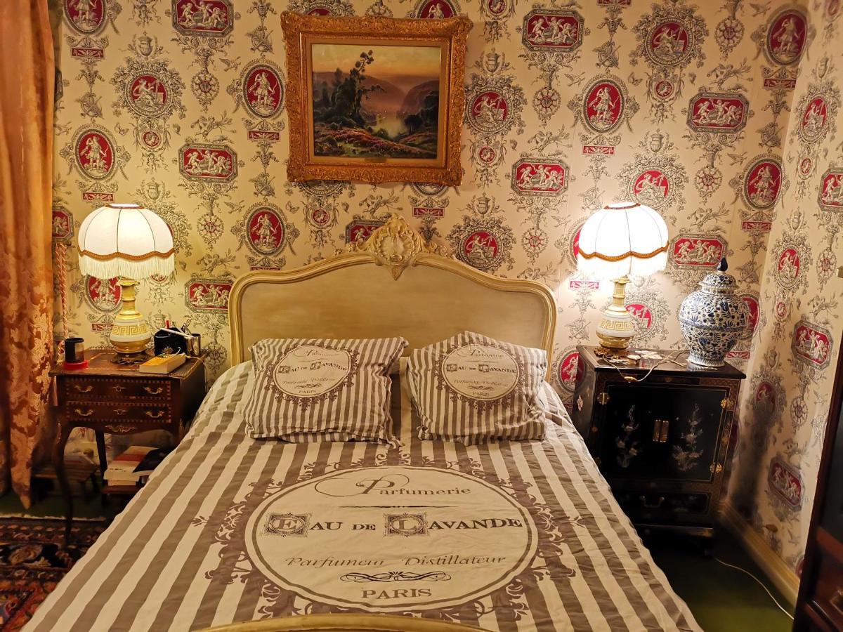 Vic-sur-Cère Le Kino Panorama Bed & Breakfast エクステリア 写真