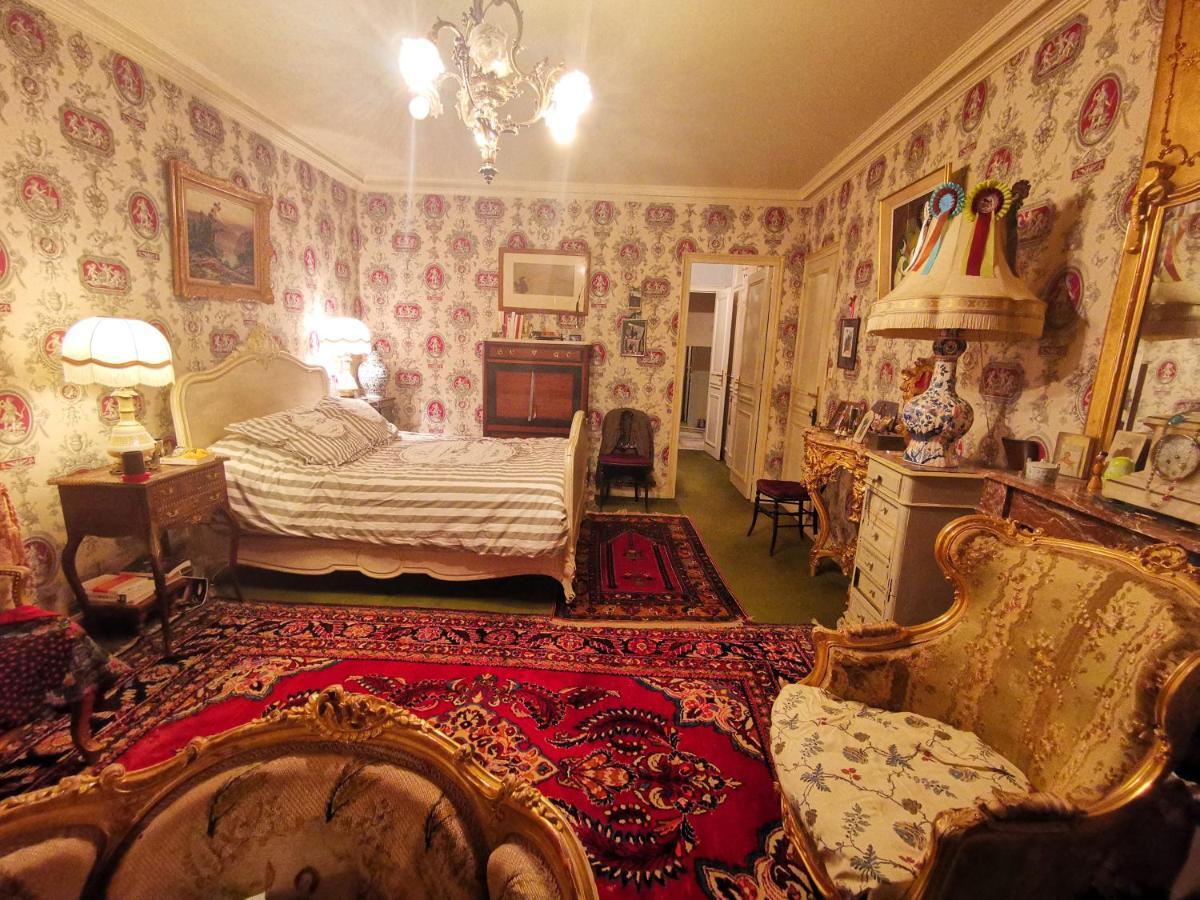Vic-sur-Cère Le Kino Panorama Bed & Breakfast エクステリア 写真